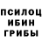 Галлюциногенные грибы GOLDEN TEACHER NegaQuantum