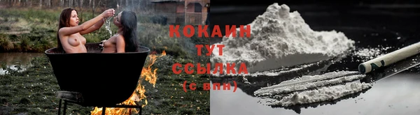 стаф Вяземский