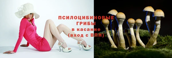 хмурый Вязники