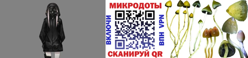 Купить  Белорецк  Псилоцибиновые грибы ЛСД 